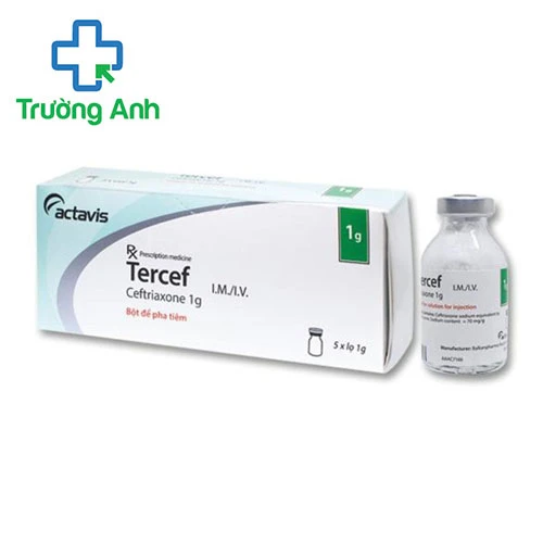 Tercef 1g - Thuốc chống nhiễm khuẩn, nhiễm trùng của Bulgaria