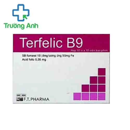 Terfelic B9 - Giúp điều trị, phòng ngừa thiếu máu do thiếu sắt hiệu quả của F.T.PHARMA