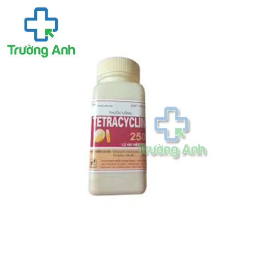 Tetracylin 250 TW1 - Thuốc điều trị nhiễm khuẩn dạng uống