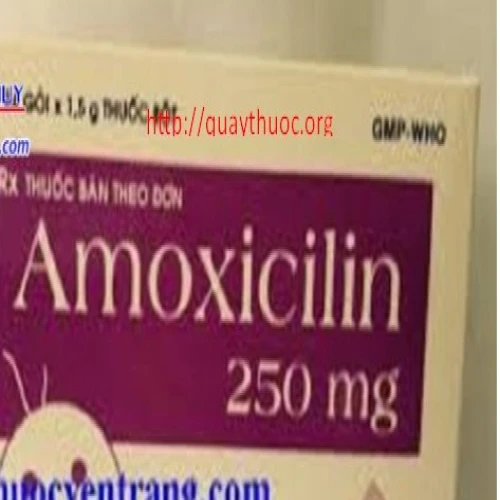Amoxicillin 250mg DHG - Thuốc điều trị nhiễm khuẩn hiệu quả