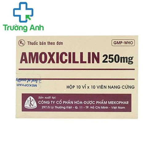 Amoxicillin 250mg MKP (viên) - Thuốc điều trị nhiễm khuẩn hiệu quả