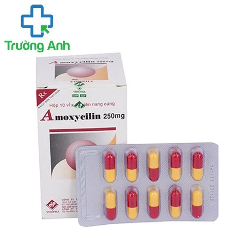 Amoxycilin 250mg Vidipha - Thuốc điều trị nhiễm khuẩn hiệu quả