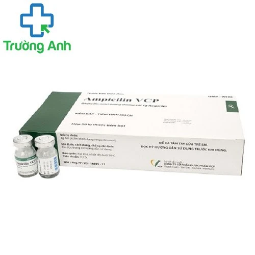 Ampicilin 1g VCP - Thuốc điều trị nhiễm khuẩn hiệu quả