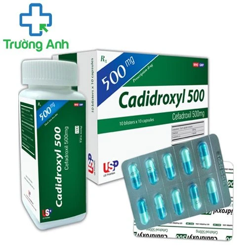 CADIDROXYL 500 USP - Thuốc điều trị nhiễm khuẩn hiệu quả
