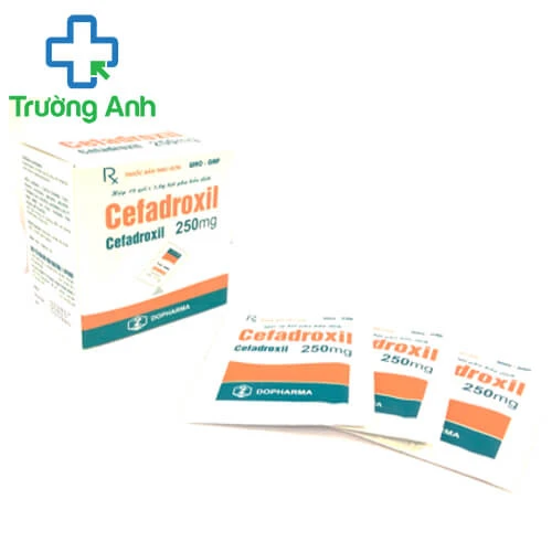 Cefadroxil 250mg Dopharma - Thuốc điều trị nhiễm khuẩn hiệu quả 