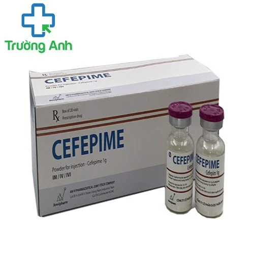 Cefepime Amvipharm - Thuốc điều trị nhiễm khuẩn hiệu quả