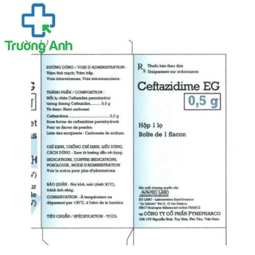 Ceftazidime EG 0.5g - Thuốc điều trị nhiễm khuẩn hiệu quả của Pymepharco