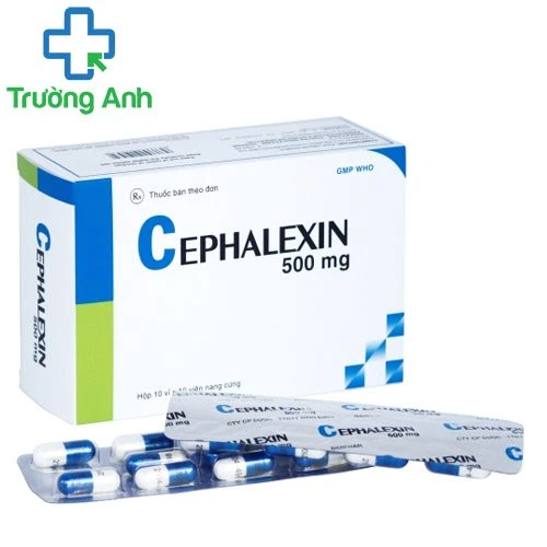 Cephalexin 500mg Bidiphar - Thuốc điều trị nhiễm khuẩn thể nhẹ và vừa hiệu quả