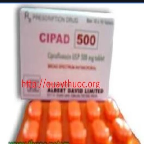 Cipad 500mg - Thuốc kháng sinh điều trị nhiễm trùng hiệu quả