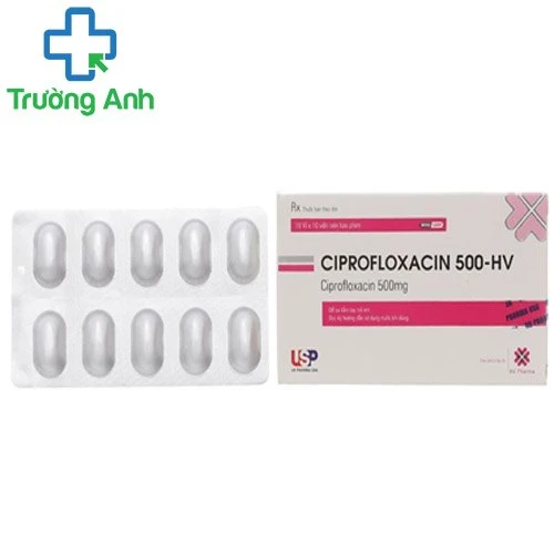 Ciprofloxacin 500-HV USP - Thuốc điều trị nhiễm khuẩn hiệu quả 