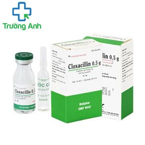 Cloxacillin 0,5g - Thuốc điều trị bệnh nhiễm khuẩn nặng của Imexpharm