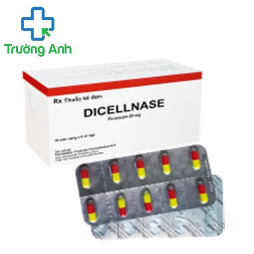 Dicellnase - Thuốc kháng viêm, giảm đau xương khớp của Portugal