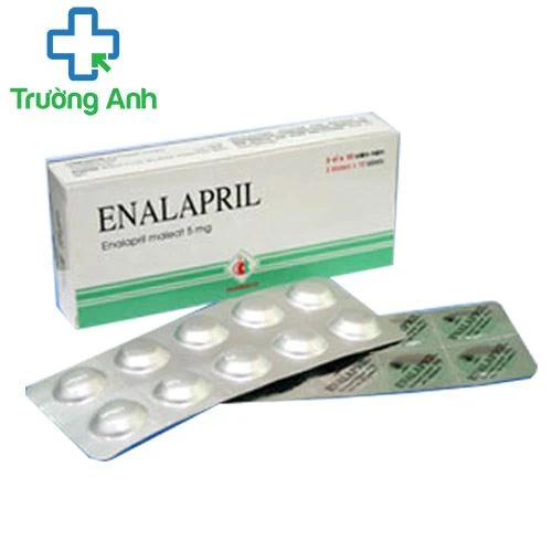 Enalapril 5mg Domesco - Thuốc điều trị tăng huyết áp vô căn hiệu quả