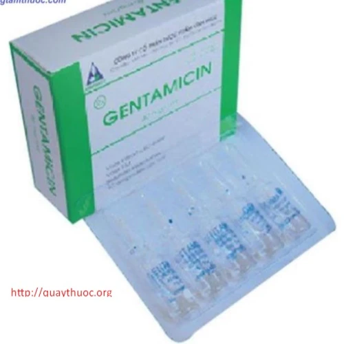 Gentamycin 40mg/ml - Thuốc kháng sinh điều trị nhiễm khuẩn