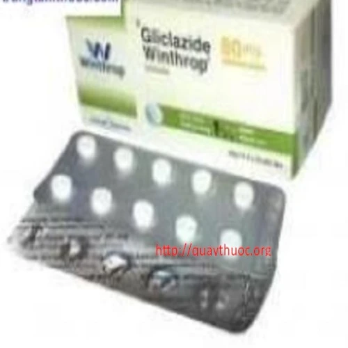 Gliclazid Winthrop 80mg - Thuốc điều trị bệnh đái tháo đường hiệu quả