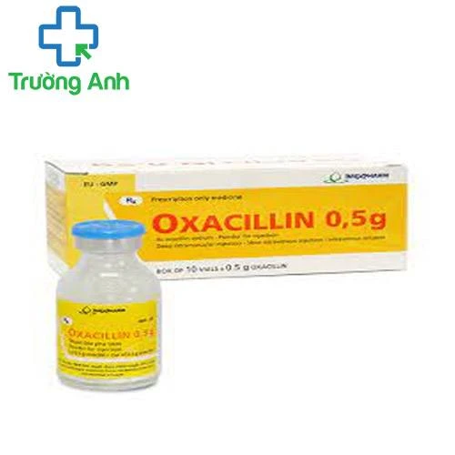 Oxacillin 0,5g Imexpharm - Thuốc điều trị nhiễm khuẩn đường hô hấp hiệu quả 