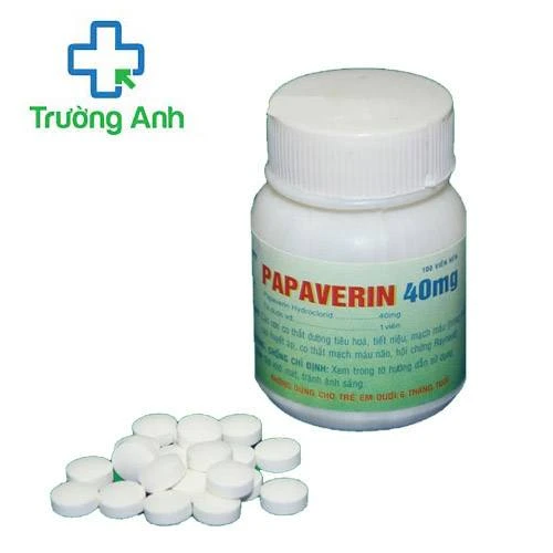 Papaverin Armephaco - thuốc điều trị các cơn đau co thắt cơ trơn hiệu quả