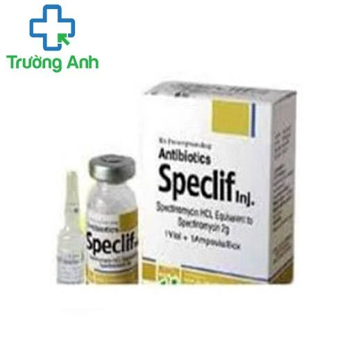 Speclif - Thuốc điều trị viêm âm đạo hiệu quả của Hàn Quốc