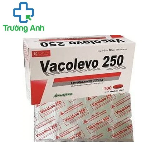 Vacolevo 250 - Thuốc điều trị nhiễm khuẩn hiệu quả của Vacopharm