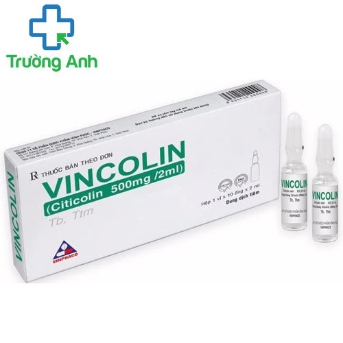Vincolin 500mg/2ml - Thuốc điều trị bệnh não cấp tính hiệu quả của Vinphaco