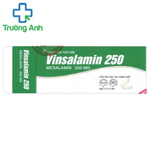 Vinsalamin 250mg - Thuốc điều trị viêm loét đại tràng hiệu quả