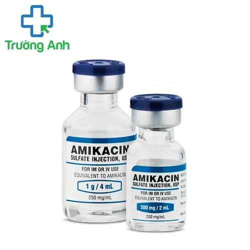 Union Amikacin 500mg/2ml - Thuốc kháng sinh điều trị nhiễm khuẩn hiệu quả