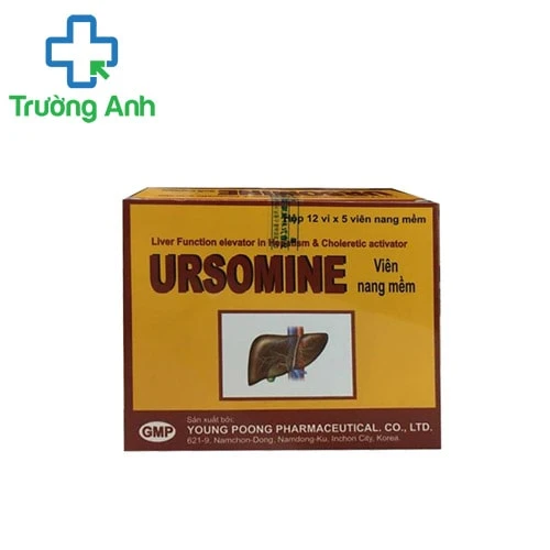 Ursomine - Thuốc bổ gan hiệu quả