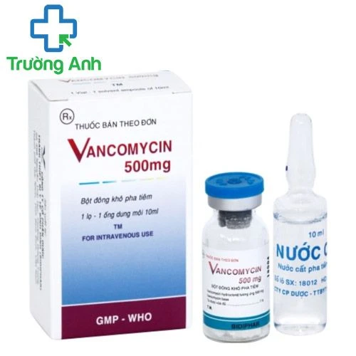 Vancomycin 500mg Bidiphar (1 lọ)- Thuốc kháng sinh trị bệnh hiệu quả