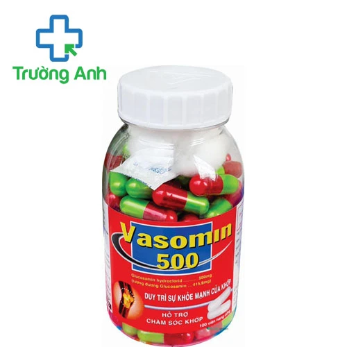 Vasomin 500 Vacopharm (viên nang) - Thuốc điều trị thoái hóa khớp gối hiệu quả
