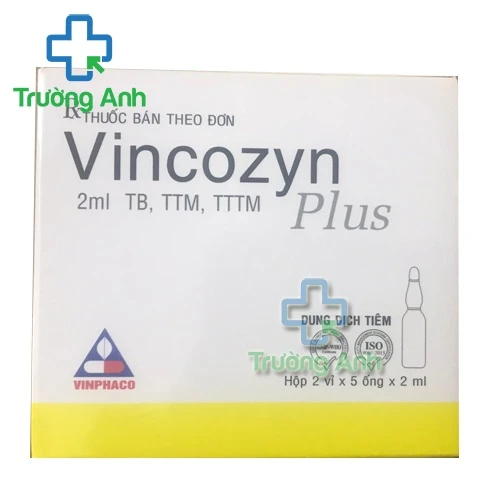 Vincozyn Plus - Thuốc bổ vitamin hiệu quả