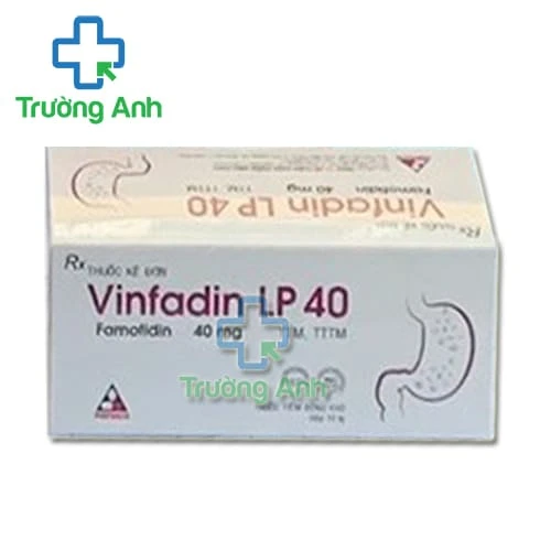 Vinfadin LP 40 Vinphaco - Thuốc điều trị trào ngược dạ dày thực quản