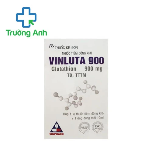 Vinluta 900 Vinphaco - Thuốc hỗ trợ điều trị ngộ độc thủy ngân hiệu quả