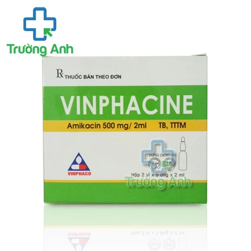 Vinphacine 500mg/2ml Vinphaco - Thuốc đìêu trị nhiễm trùng, nhiễm khuẩn 
