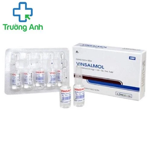 Vinsamol Inj.0.5mg/ml - Thuốc điều trị các bệnh đường hô hấp hiệu quả
