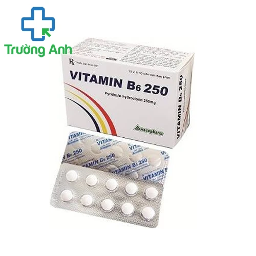 Vitamin B6 250 Vacopharm - Giúp bổ sung Vitamin B6 hiệu quả