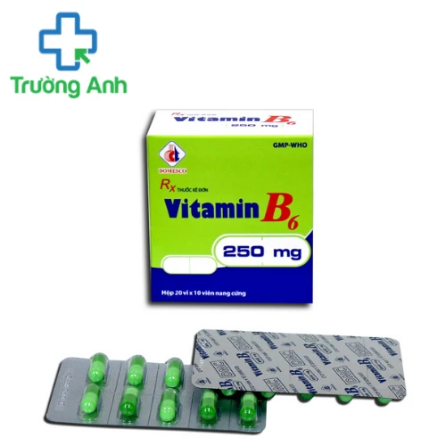 Vitamin B6 250mg Domesco - Điều trị thiếu hụt Vitamin B6