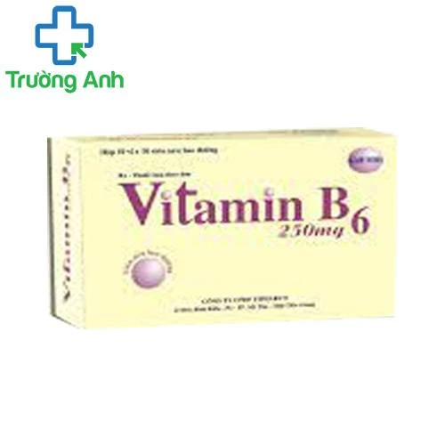 Vitamin B6 250mg Tipharco - Giúp bổ sung vitamin B6 hiệu quả