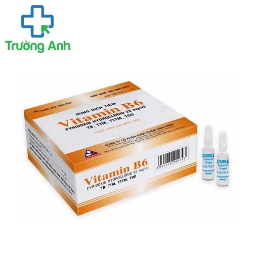 Vitamin B6 25mg/1ml Vinphaco - Thuốc giúp bổ sung vitamin hiệu quả