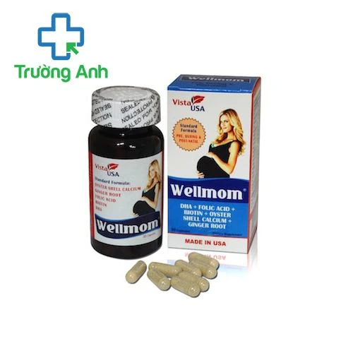 Wellmom - Giúp bổ sung vitamin và khoáng chất cho bà bầu hiệu quả