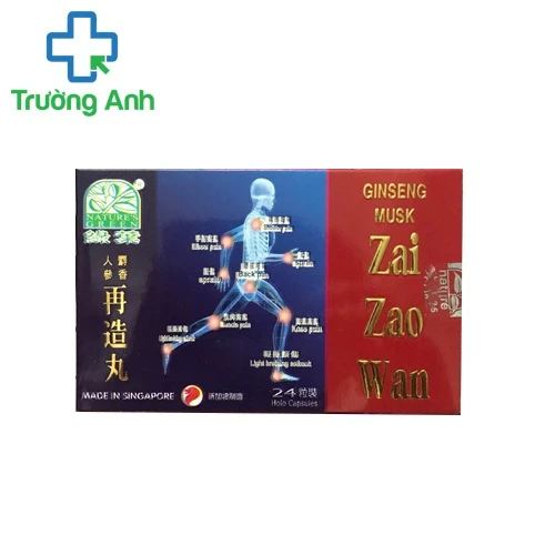 Ginseng musk Zai Zao Wan - Nhân sâm xạ hương tái tạo hoàn hỗ trợ điều trị xương khớp