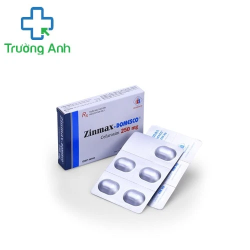 Zinmax-Domesco 250mg - Thuốc điều trị nhiễm khuẩn hiệu quả