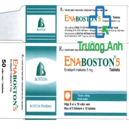 ENABOSTON - Thuốc điều trị tăng huyết áp, suy tim hiệu quả