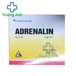 Adrenalin 1mg/10ml Vinphaco - Thuốc cấp cứu và hồi sức tim, phổi hiệu quả