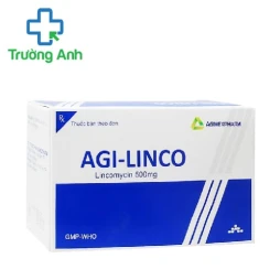 Agi-Linco 500 Agimexpharm - Thuốc điều trị nhiễm trùng