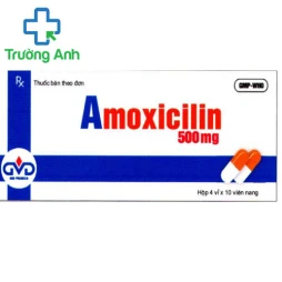 Amoxicilin 500mg MD Pharco - Thuốc điều trị nhiễm khuẩn đường hô hấp hiệu quả