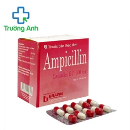 Ampicillin 500mg Brawn - Thuốc điều trị nhiễm khuẩn hiệu quả