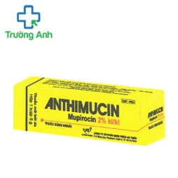 Anthimucin 2% 5g An Thiên - Thuốc điều trị nhiễm khuẩn ngoài da