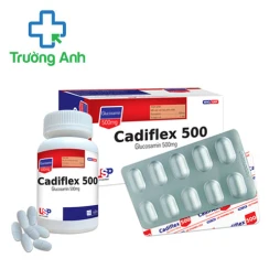 Cadiflex 500 USP (lọ) - Thuốc điều trị thoái hóa xương khớp hiệu quả