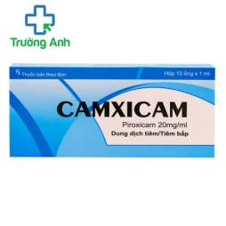 Camxicam - Thuốc điều trị bệnh viêm khớp, gút hiệu quả