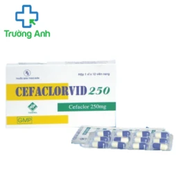 Cefaclorvid 250 Vidipha - Thuốc điều trị nhiễm khuẩn hiệu quả 